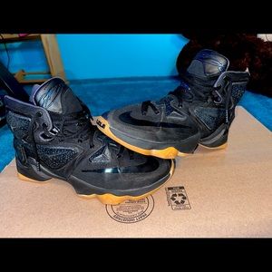 Nike Lebron 13 “Black Lion” Mens size: 9.5